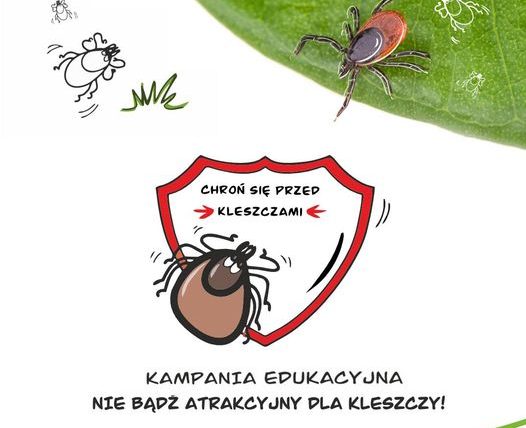 Nie bądź atrakcyjny dla kleszczy