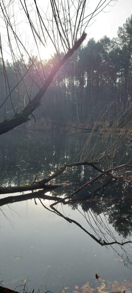 PROJEKT TRANSFORMERSI