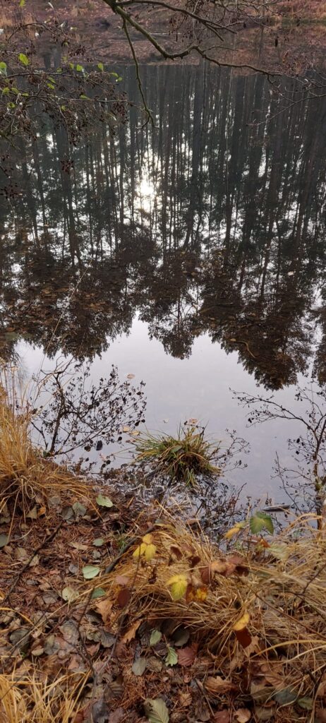 PROJEKT TRANSFORMERSI